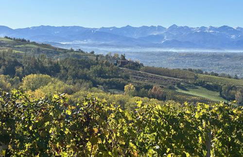 Langhe Wine & Relax - Foto 74