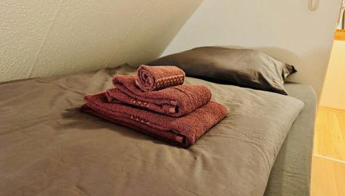 Vollausgestattete Wohnung - Foto 2, towels