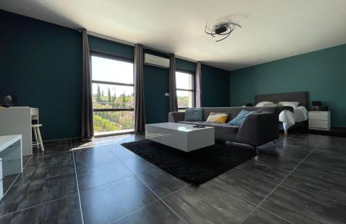 Villa ARTOS - piscine - 300 m2 - Foto 14