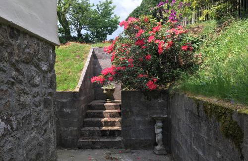 Higher Trewithen - Photo 63