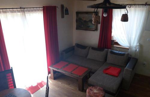 Domki pod sosnami - Foto 22