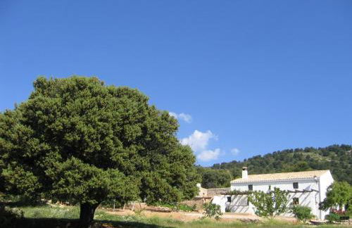 Casas Rurales Cortijo Cerro Fuentes Nuevas - Foto 6