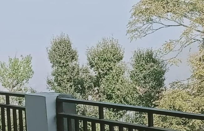 Jfr Studio Apartments Kausani - Foto 47