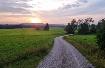 Bienenhaus #Bergblick im Sonnenhof - Foto 67