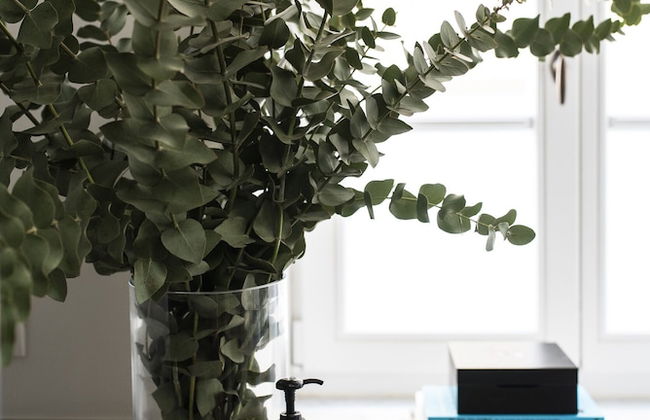 LEVEE Yehuda Halevi 16 Tel Aviv - Foto 58