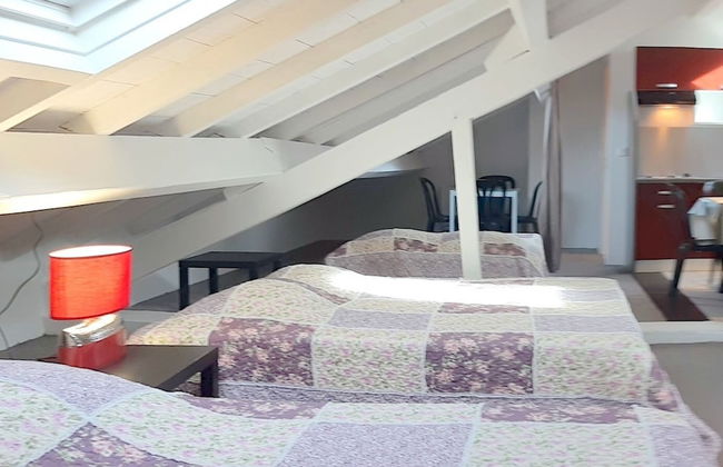 Gîtes Domaine de la Rochère - Foto 2