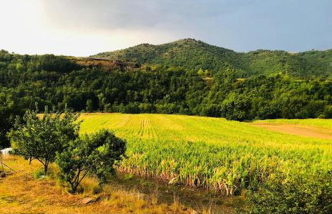 Gîte La Petite voûte - Foto 2