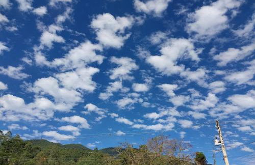 Chácara das Araucárias - Foto 60