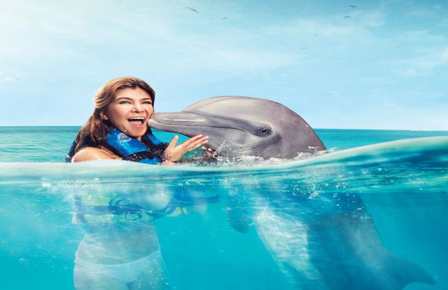 Delfin-Begegnung am Maroma Beach - Foto 2