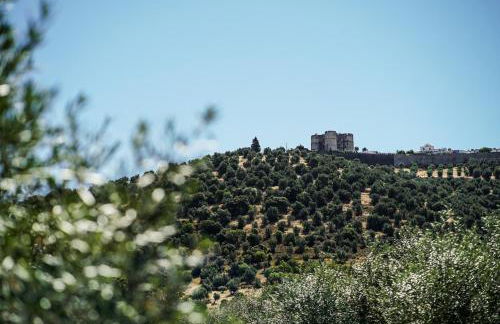 Casas de Santa Rita - Foto 10