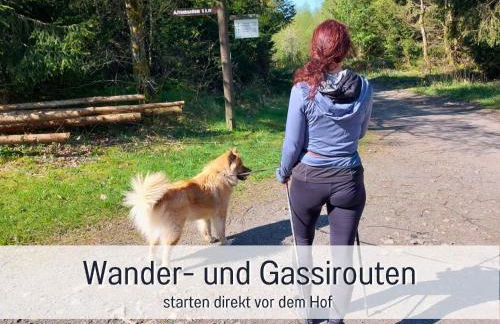 Ferienwohnung im Sauerland Hunde willkommen Kamin und Garten am Waldrand Muehls-Sauerland - Foto 30