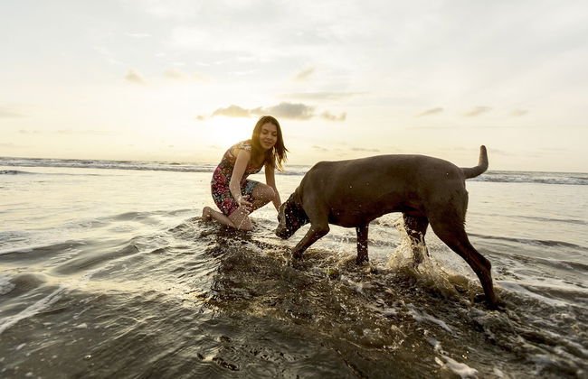 Green9 Hotel & Beach Resort Same - Foto 35