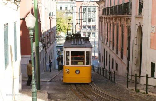 Água-da-Flor apartments - Photo 55