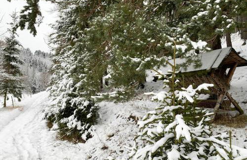 Ferienhaus im Kumbachtal - Foto 27