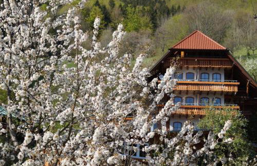 Ehrenmättlehof Faißt - Foto 44