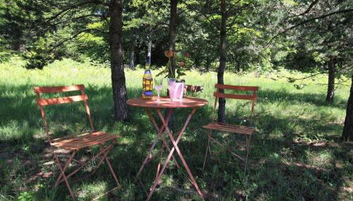 Gîte Nature au Chambon-sur-Lignon: Terrasse, Wifi, Proche Activités et Commerces - FR-1-582-137 - Foto 4