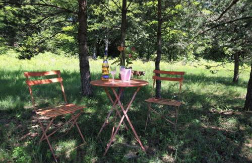 Gîte Nature au Chambon-sur-Lignon: Terrasse, Wifi, Proche Activités et Commerces - FR-1-582-137 - Foto 4