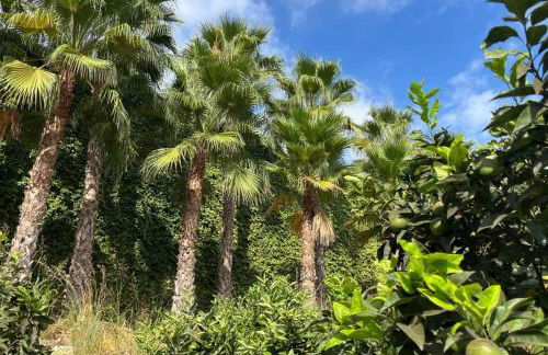 Superb penthouse swimming pools equipped solarium panoramic view - Foto 63