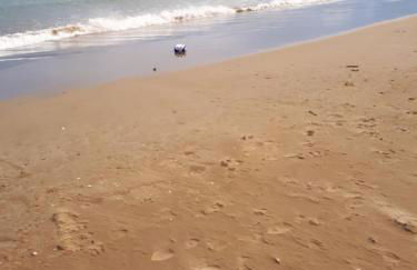 Méditerranée - Foto 15