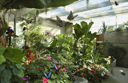 La Casa dell'Olivo - Foto 38