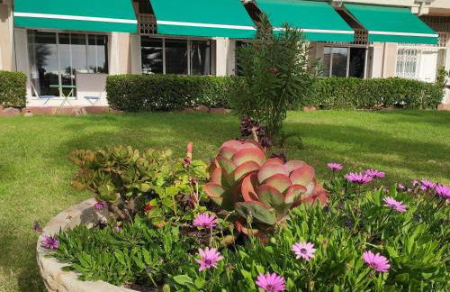 Sunrise Estudio Picasso, con vistas jardín y mar - Foto 10