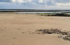 la cabane de chez berthe proche de la plage - Foto 22