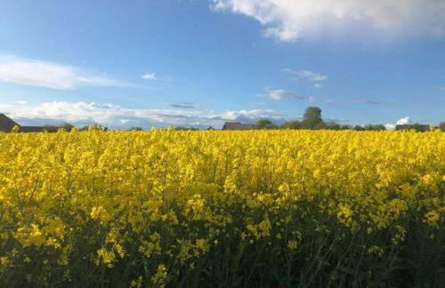 Holiday Home Moselle With Private Sauna - Foto 56