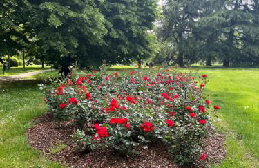 Bright and welcoming two-room modern apartment - Foto 26