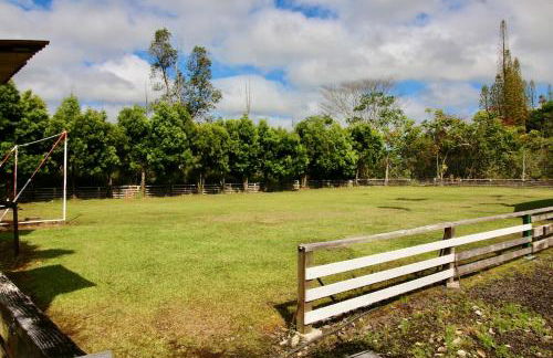 6acres- 6 Bedrms- Soccer Field- Trails- Baths- Swings - Foto 37