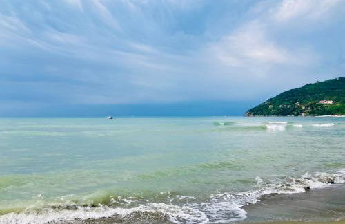 A CASA DI OLIVO - Foto 23