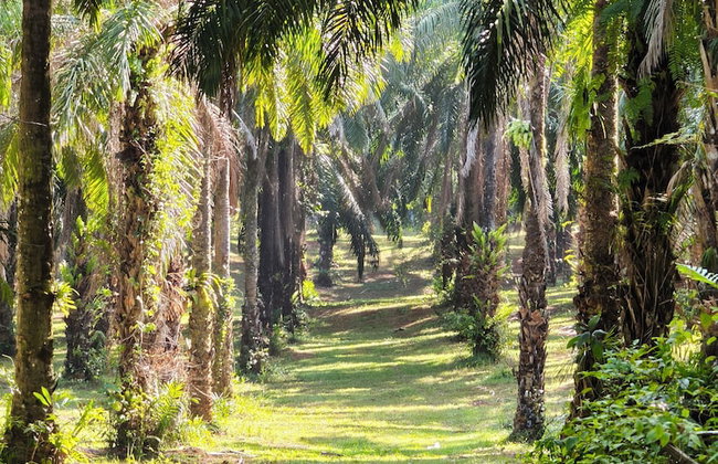 Anawa Krabi - Foto 71