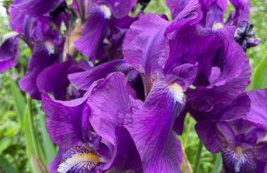 Casa Imola - Foto 30