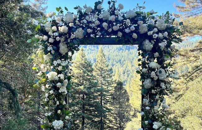 Redwoods River Resort - Foto 79