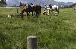 BelleVue centre, wifi, mountain view - Foto 36