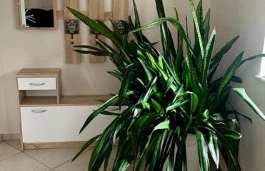 Schätzla mit Fasssauna - Foto 9