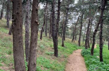 Lillian’s House - Foto 72