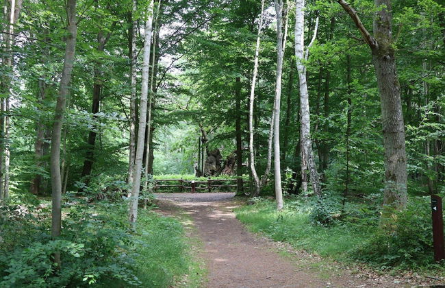 Woodland Holiday Home in Jægerspris with Hot Tub - Foto 9