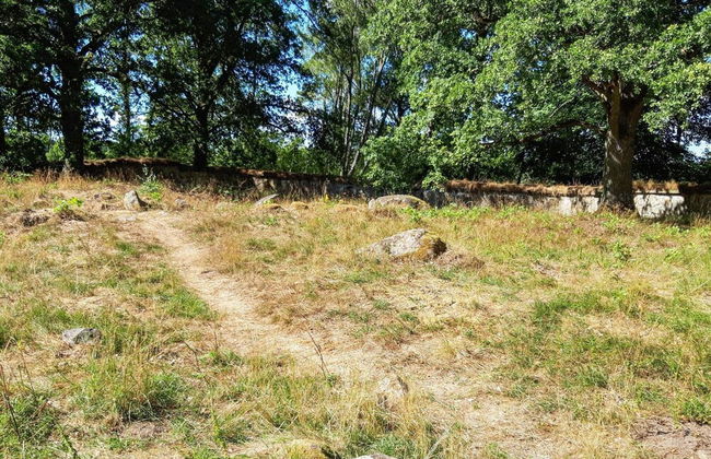 5 Person Holiday Home in Osby - Foto 9