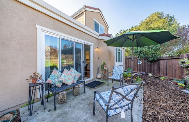 Succulents & Seashells Coastal Paradise by Beach - Foto 27