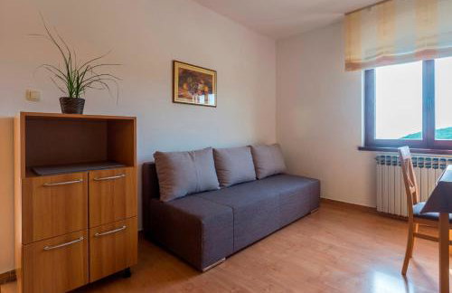 Apartments Rajkovic - Photo 16