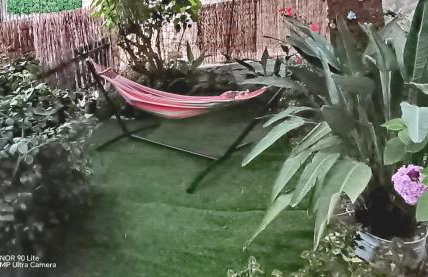 Olgas Cozy Nest Corfu retreat garden near Dassia - Foto 3