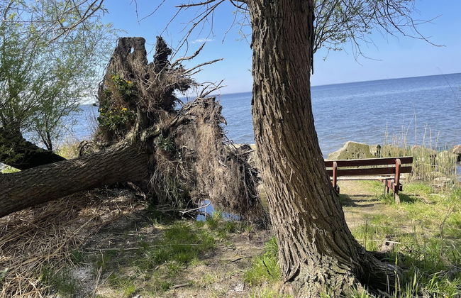 Villasleeps23-gaden-parking-partiesok-lake - Photo 10