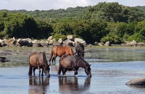 Holiday Home mit Wasserblick by Interhome - Foto 62