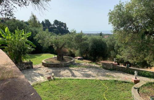 Olive stone Villa - Foto 37