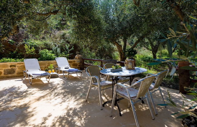 The Olive House - Photo 33