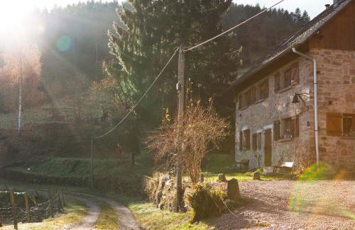 Gîte du Pré au Miel en plein coeur de l'Alsace - Foto 14