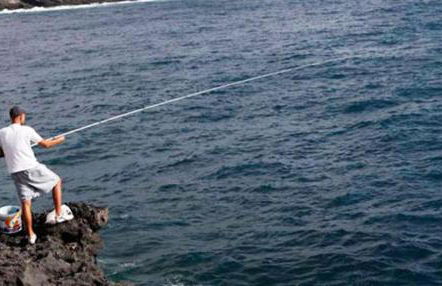 Refreshing Oasis - Foto 65