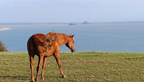 La Terrasse, Duplex Front de mer - Foto 5