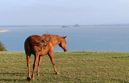 La Terrasse, Duplex Front de mer - Foto 5