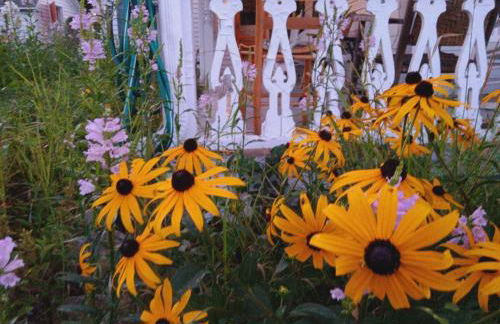 10 Mi to Gore Mountain- Home in Adirondack Park home - Photo 59